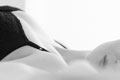 Photo of London Elite Courtesan Julia